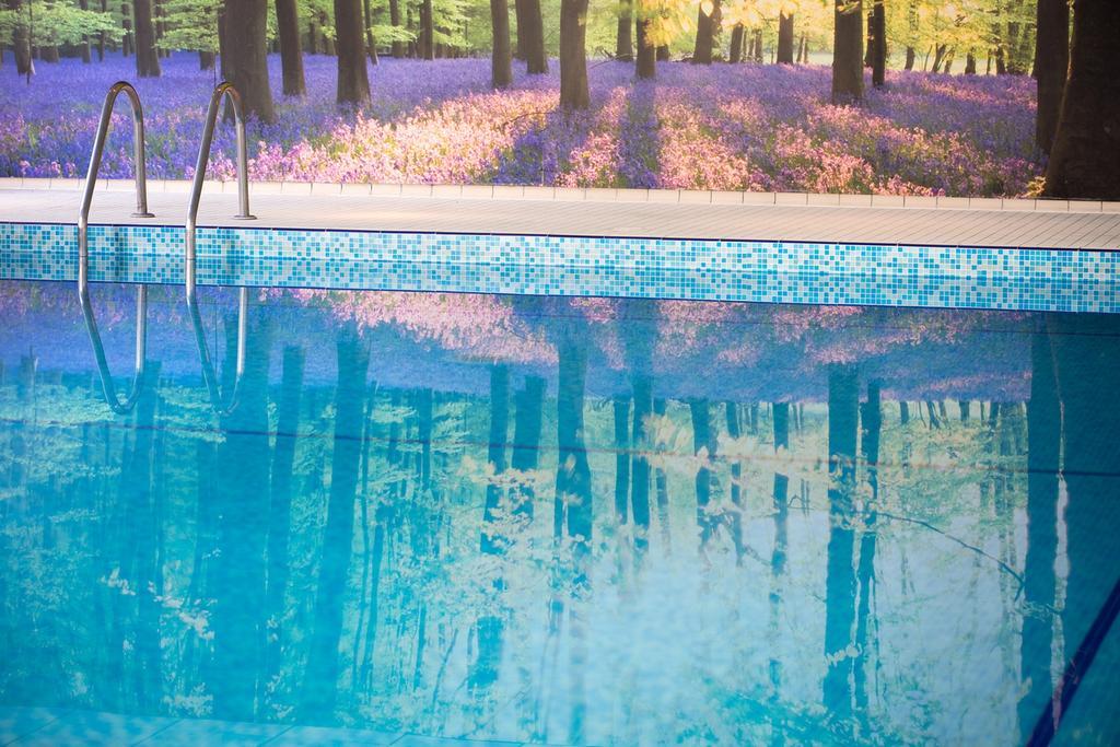 Forest Lodge Hotel Lyndhurst Luaran gambar