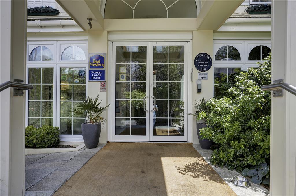 Forest Lodge Hotel Lyndhurst Luaran gambar